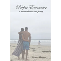 Perfect Encounter: a reintroduction into poetry