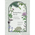 Healing Where You Are: an Introduction to Urban Foraging
