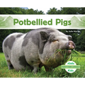 Potbellied Pigs
