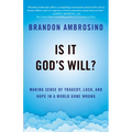 Is It God's Will?: Making Sense of Tragedy, Luck, and Hope in a World Gone Wrong
