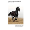 Black Horse, Black Rider