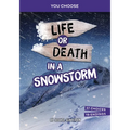 Life or Death in a Snowstorm: An Interactive Survival Adventure