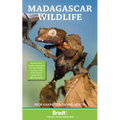 Madagascar Wildlife