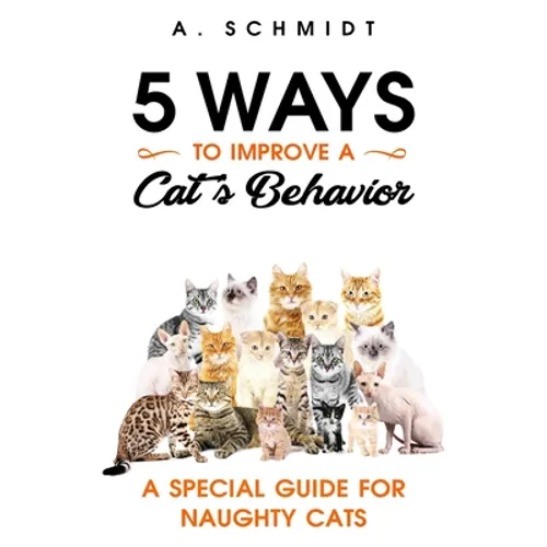 5 Ways to Improve a Cat's Behavior: A Special Guide for Naughty Cats