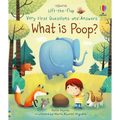 Very First Questions and Answers What Is Poop?