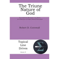 The Triune Nature of God: Conversations Regarding the Trinity by a Disciples of Christ Pastor/Theologian