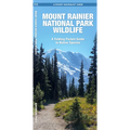 Mount Rainier National Park Wildlife