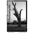 Holonym