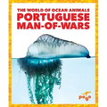 Portuguese Man-Of-Wars