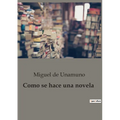 Como se hace una novela