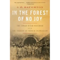 In the Forest of No Joy: The Congo-Océan Railroad and the Tragedy of French Colonialism