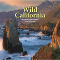Wild California