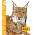 Lynx
