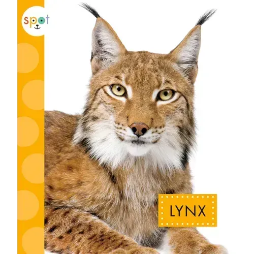 Lynx