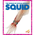 Squid