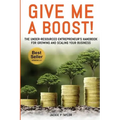 Give Me A Boost!: The Under-Resourced Entrepreneur's Handbook for Growing and Scaling Your Business