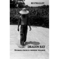 Dragon Bay: Stories from a Chinese Village