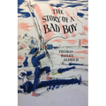 The Story of a Bad Boy