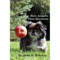 More Answers than Questions