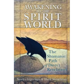 Awakening to the Spirit World: The Shamanic Path of Direct Revelation