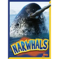Narwhals