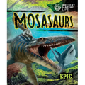 Mosasaurs