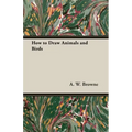 How to Draw Animals and Birds