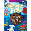 Fantastic Fish