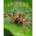 Spiders: Amazing Pictures & Fun Facts on Animals in Nature