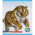 Tigers (Nature's Children)