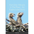 Part One: Miracle In The Pines - An Eagles Love Story