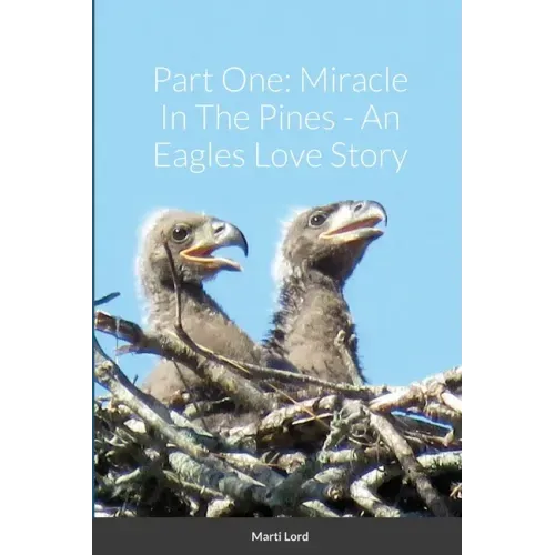 Part One: Miracle In The Pines - An Eagles Love Story