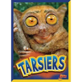 Tarsiers