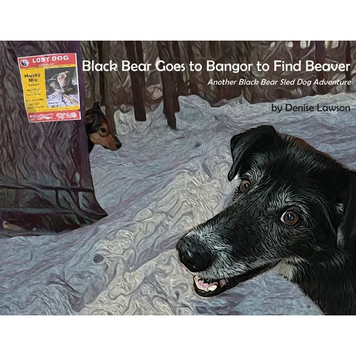 Black Bear Goes to Bangor to Find Beaver: Another Black Bear Sled Dog Adventure