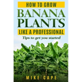 How to grow Banana Plants like a Professional: Beginner's guide and tips to get you started