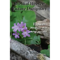 Biblical Hebrew Picture Dictionary