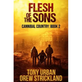 Flesh of the Sons: A Post Apocalyptic Thriller