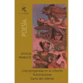 Una temporada en el infierno, Iluminaciones, Carta del vidente
