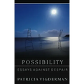 Possibility: Essays Against Despair