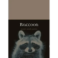 Raccoon