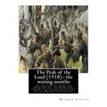 The Peak of the Load (1918) by Mildred Aldrich (historical): the waiting months: on the hilltop from the entrance of the Stars and stripes to the seco