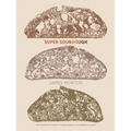 Super Sourdough: The Foolproof Guide to Making World-Class Bread at Home