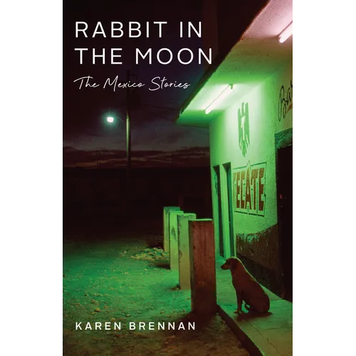 Rabbit in the Moon: The Mexico Stories