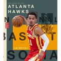 The Story of the Atlanta Hawks