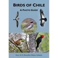 Birds of Chile: A Photo Guide