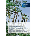 Therapeutic Role of Two Medicinal Plants against CCl4 in Rats