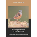 Birding hotspots in the Algarve: The hills of Caldeirão and Barrocal