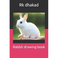 Rabbit drawing book
