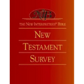 The New Interpreter's(r) Bible New Testament Survey