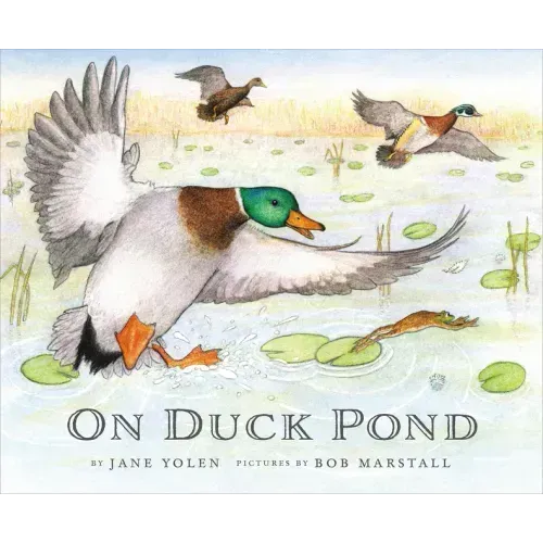 On Duck Pond